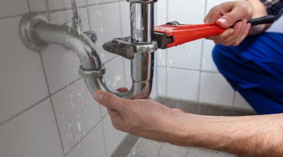 Professional Leak Detection services in Idlewild, MI